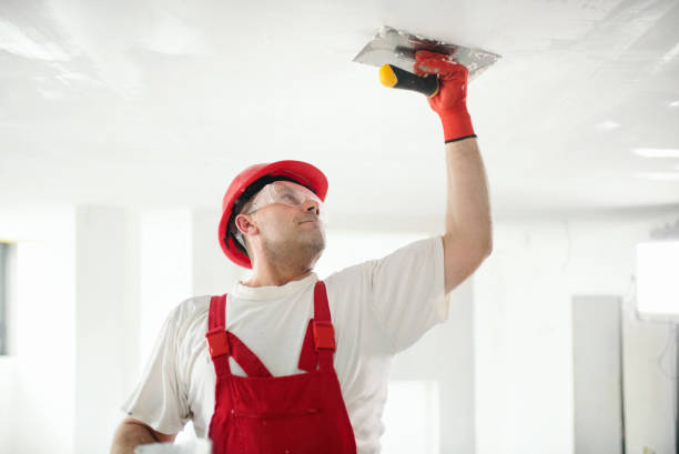 Best Drywall Texturing  in Lagrange, GA